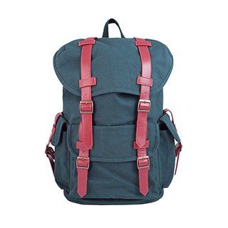 Bagback_img